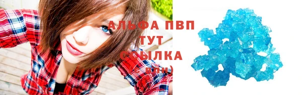 спиды Лиски