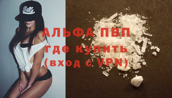 спиды Лиски